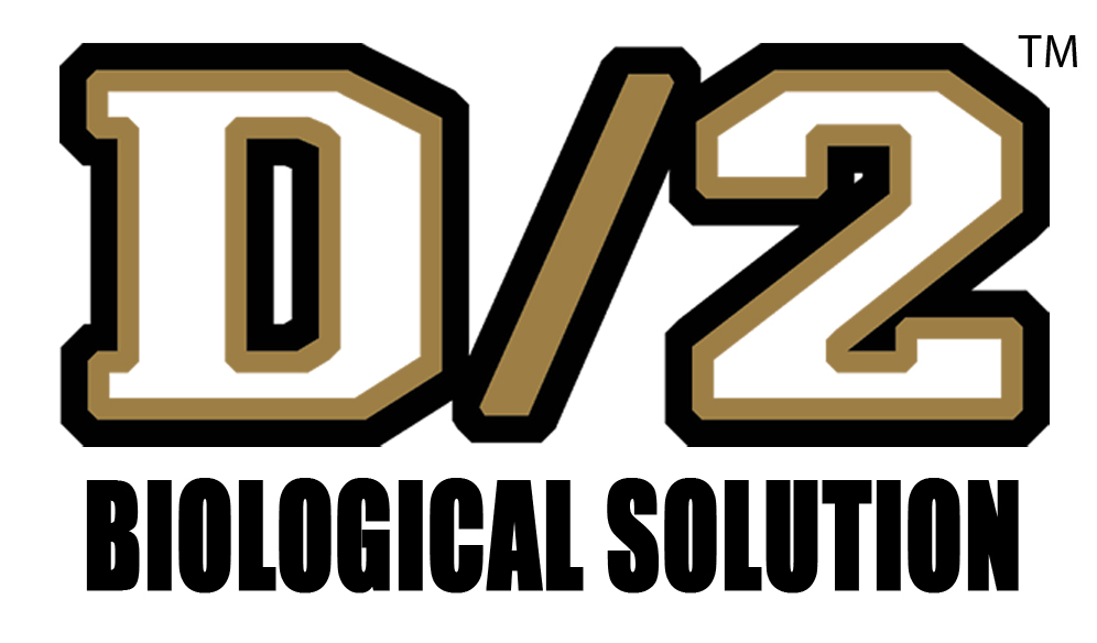 D2